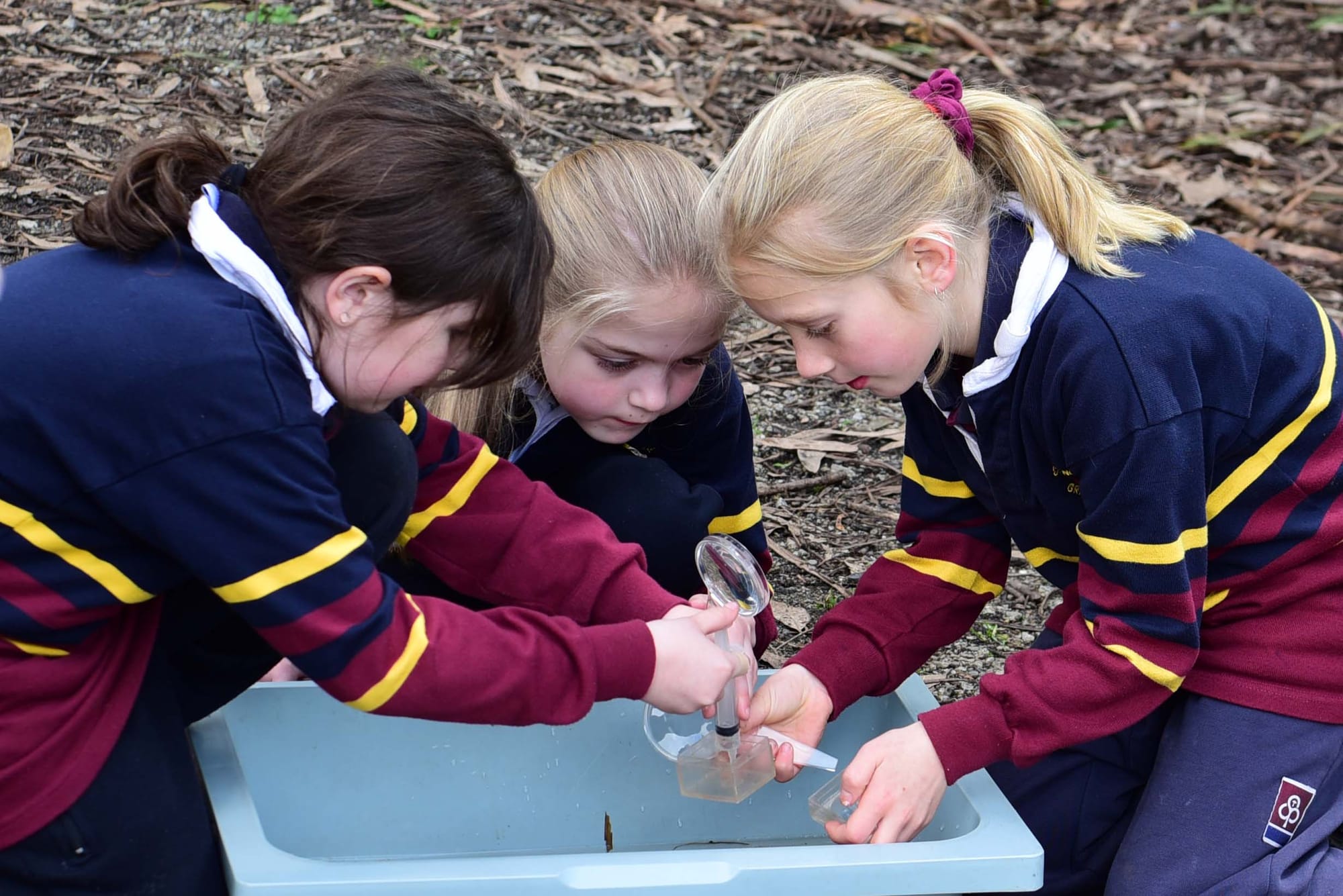 St Paul's Brooker Park - 15.22.2022