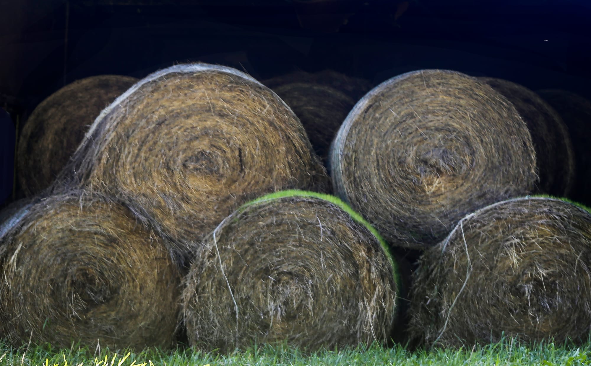 Looking at the science behind hay fires