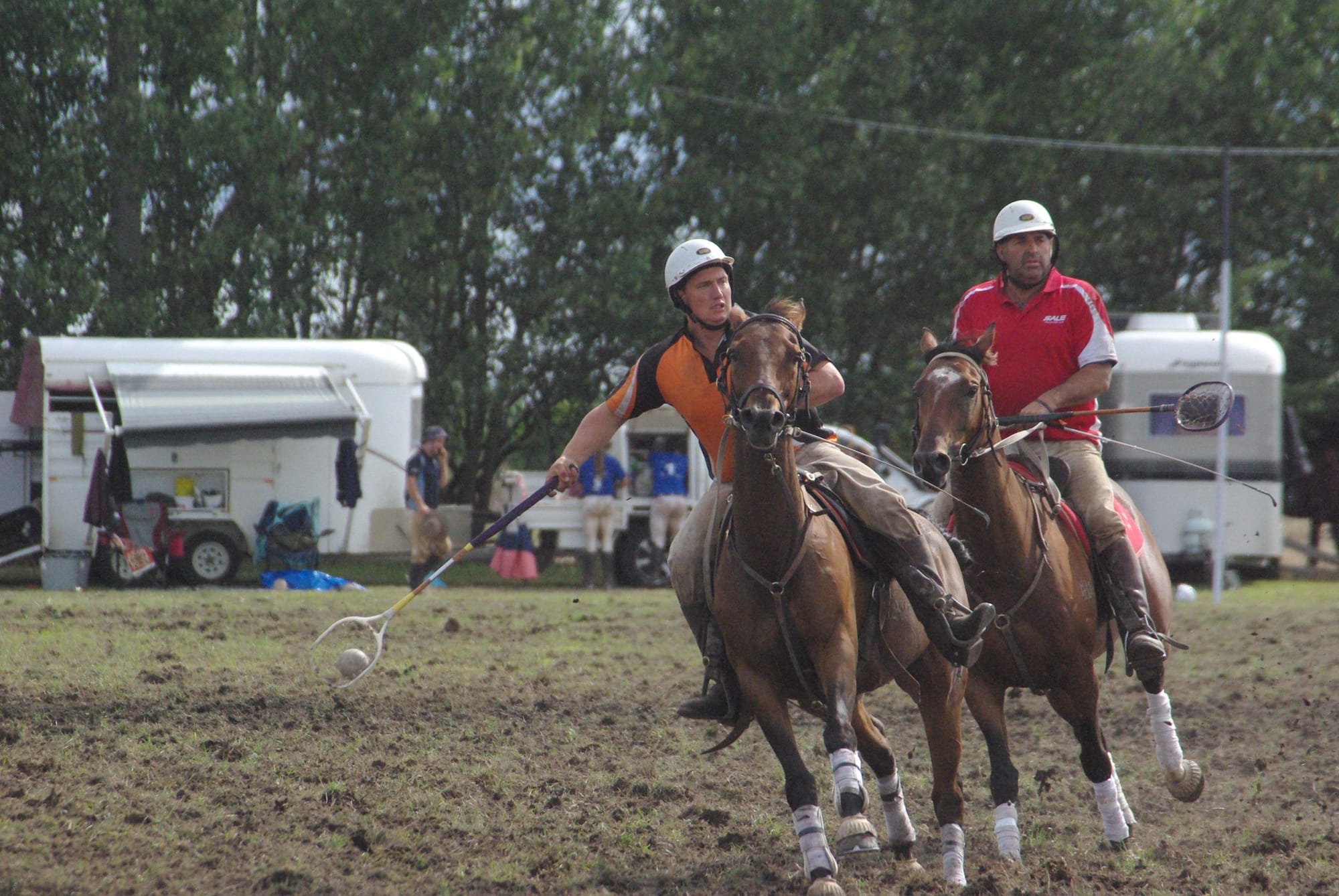 Traf Polox - 15.03.2022