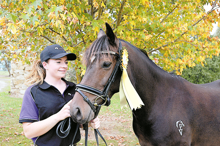 Impressive in dressage