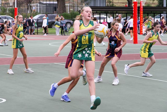 Netball Liza Pharoah Tournament - 03.03.2024