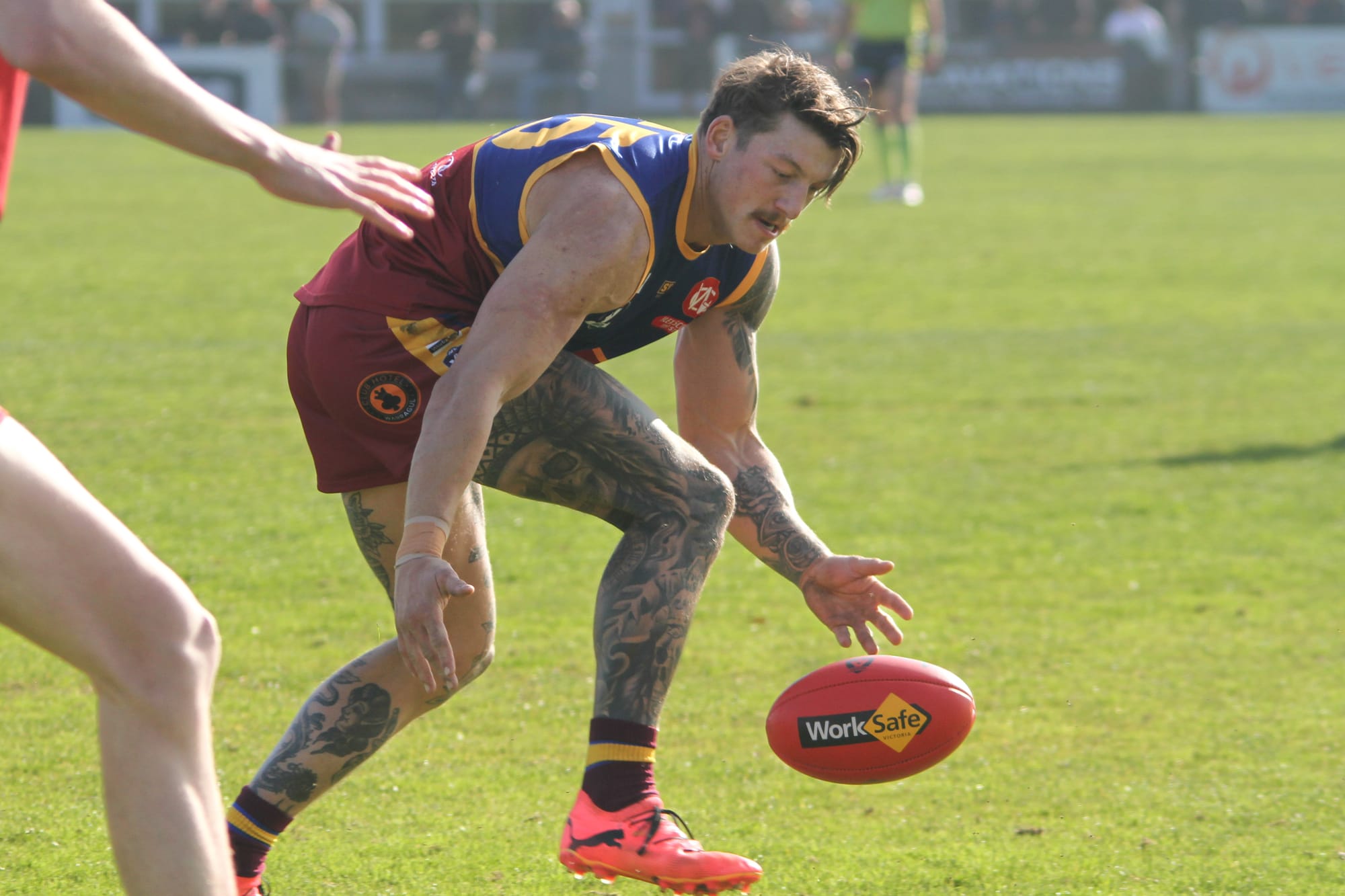 Dusties belt Bulldogs in West Gippsland footy