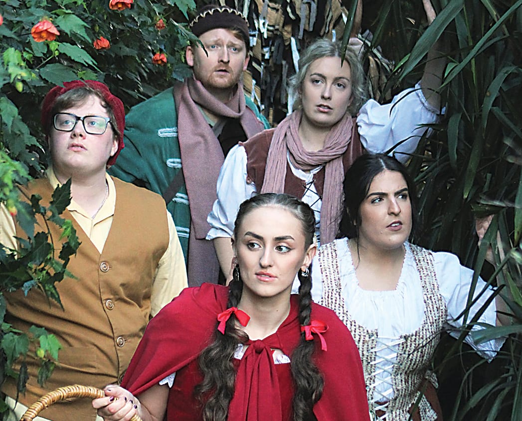 Many good moments in "Into the Woods"