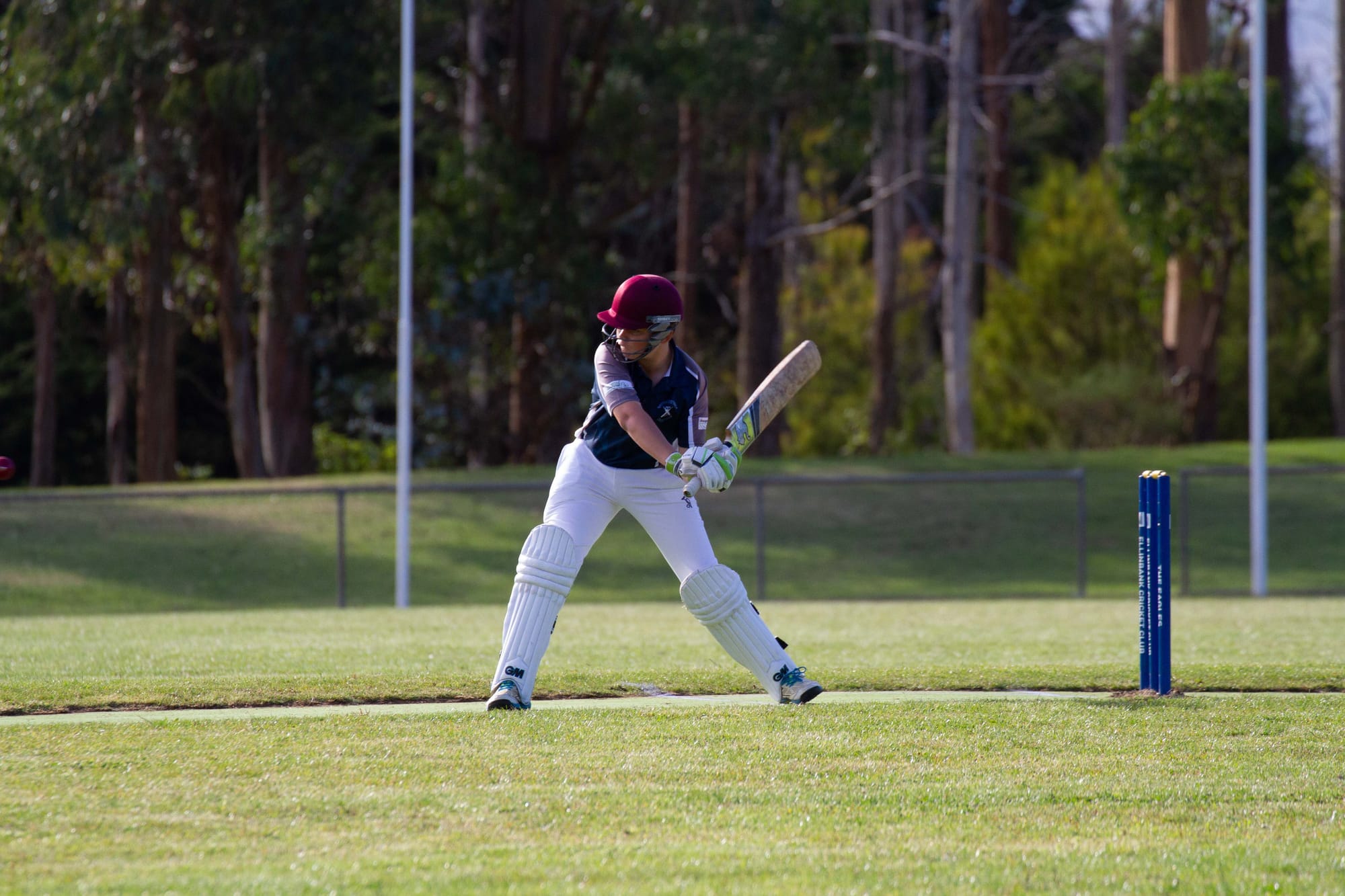 Cricket (U16's) Ellinbank Vs. Neerim District - 12.03.2022