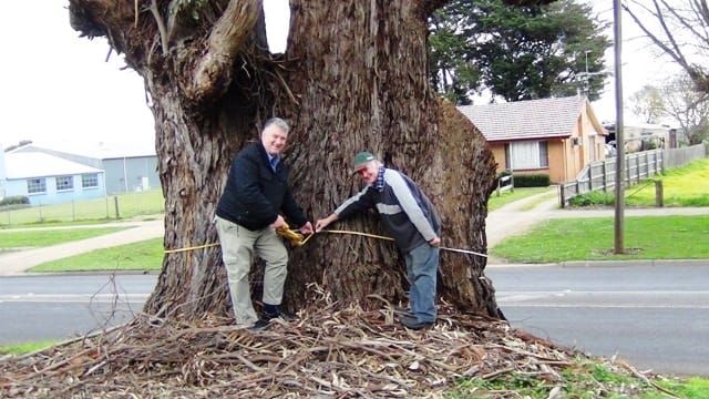 Register for Drouin trees