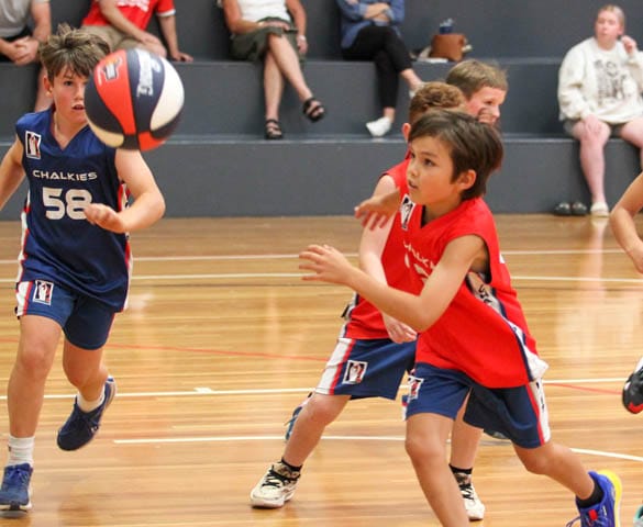 Basketball Juniors (U10's) - Chalkies Tigers Vs. Chalkies Sharks - 02.02.2024