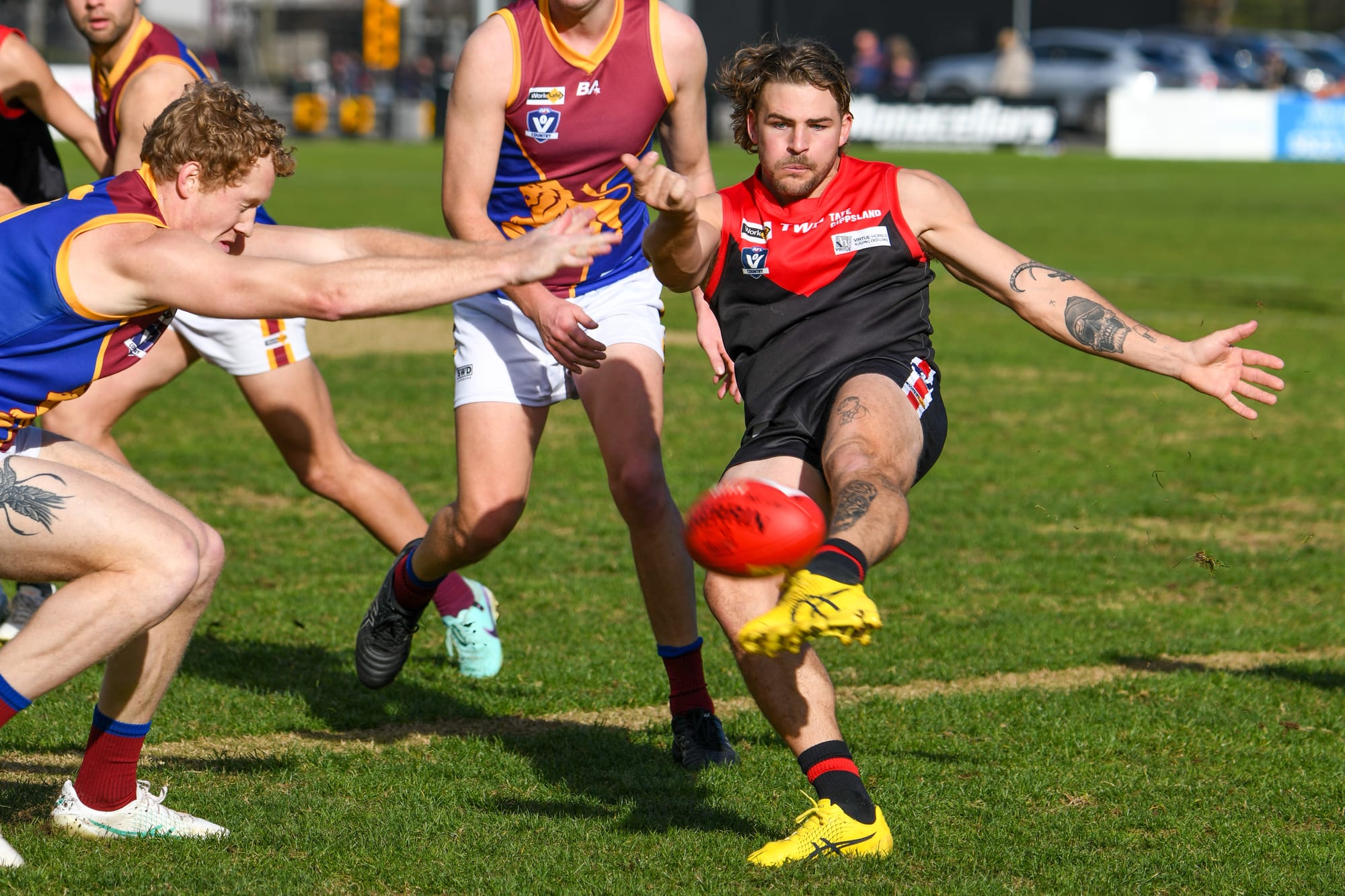 Gallant Gulls leave Lions in the lurch