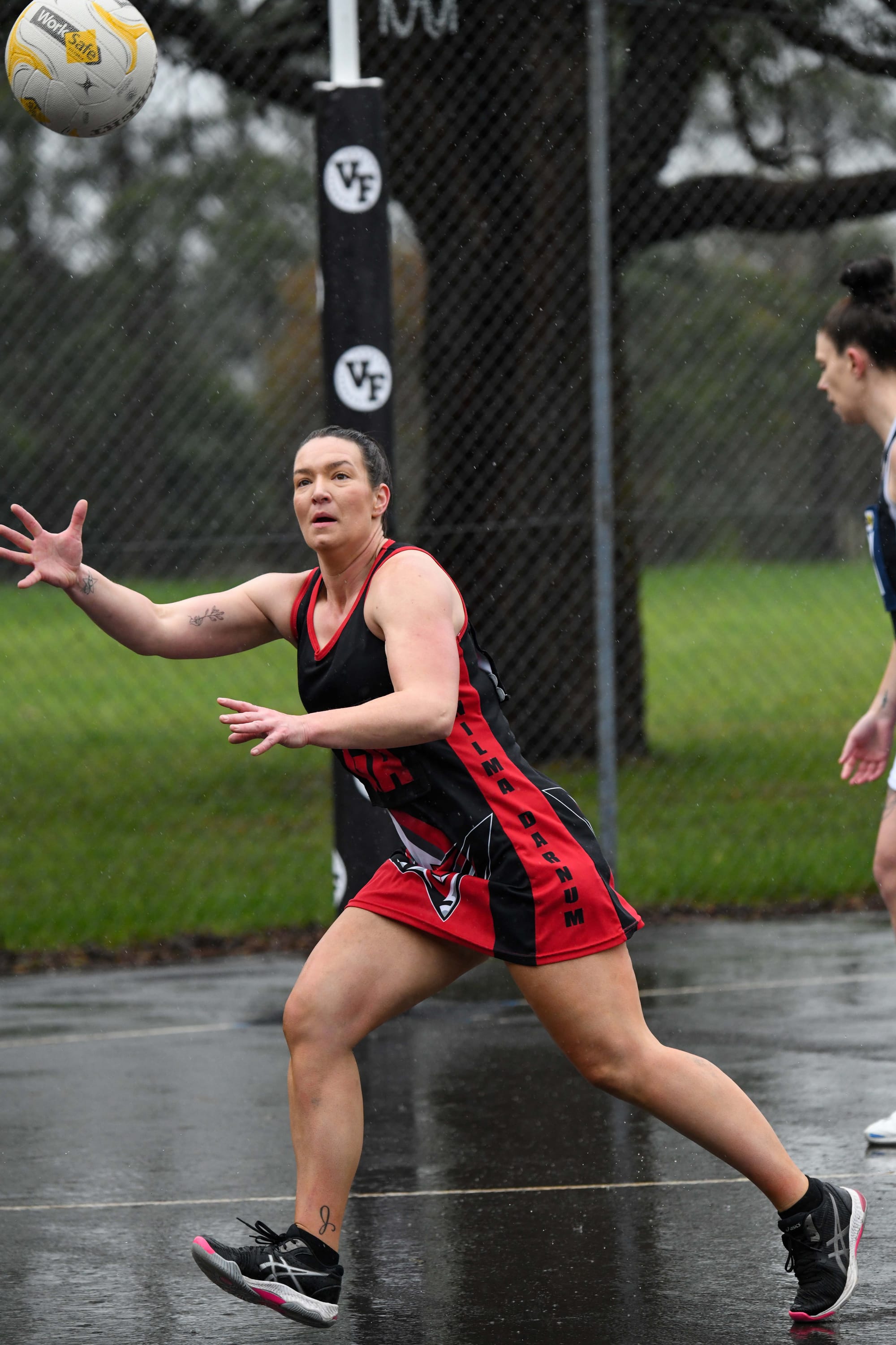 Netball EDFL C Grade Nilma Darnum Vs. Catani - 11.06.2022