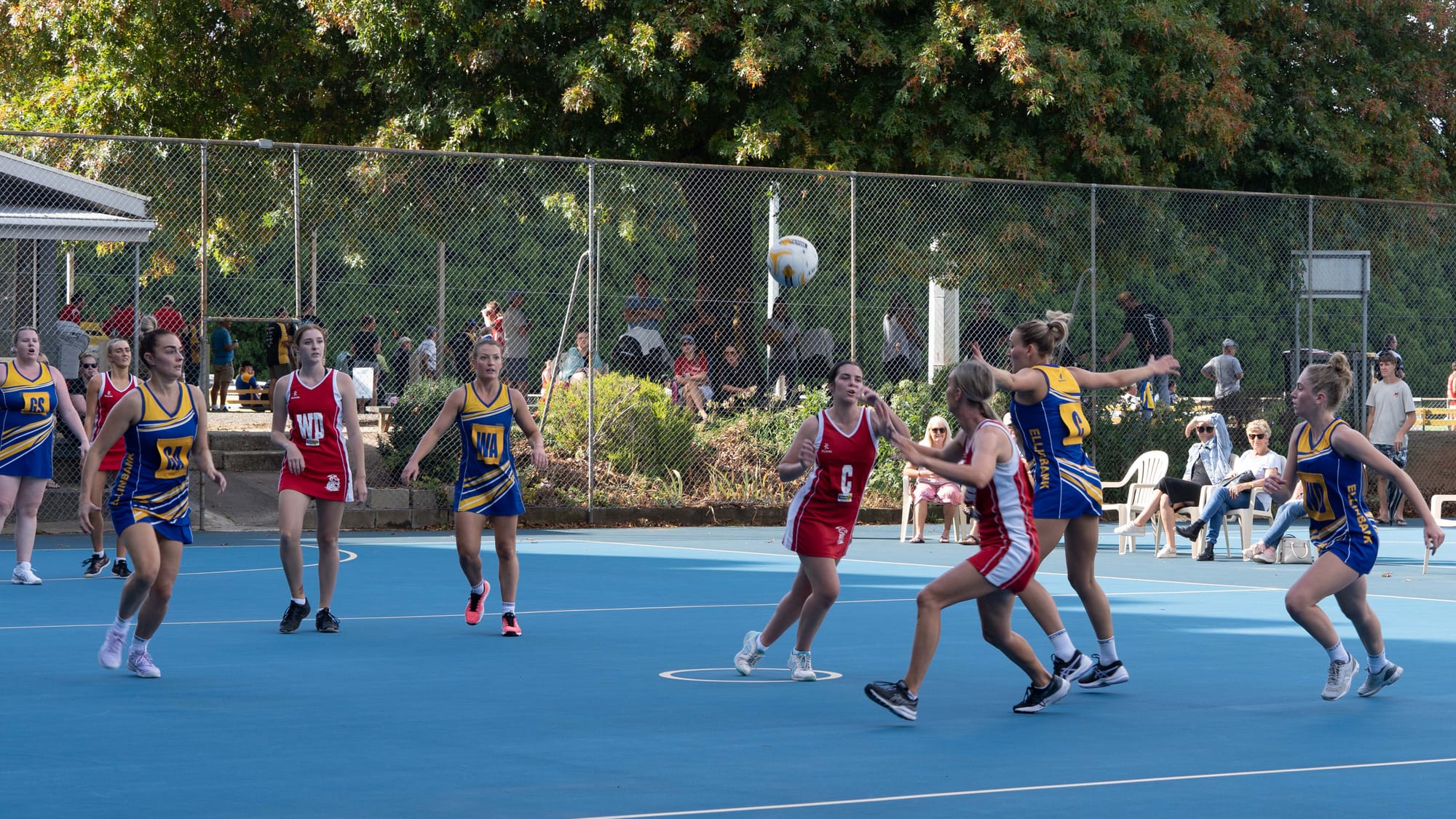 Netball EDFL
