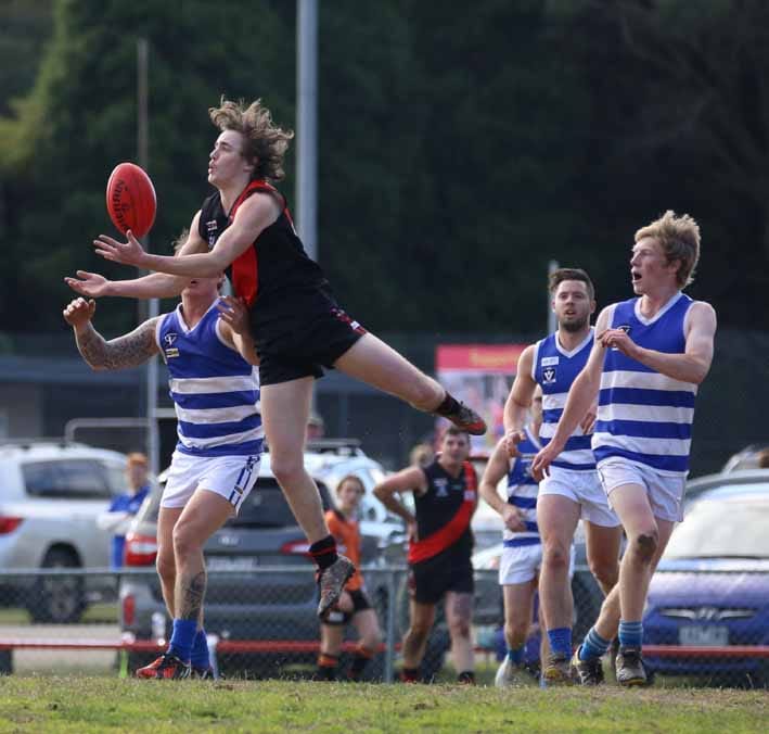 Darnos may spoil Dusties chances