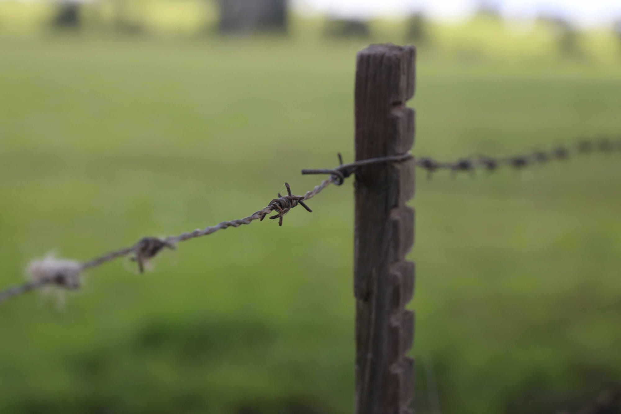 On-Farm Emissions Action Plan