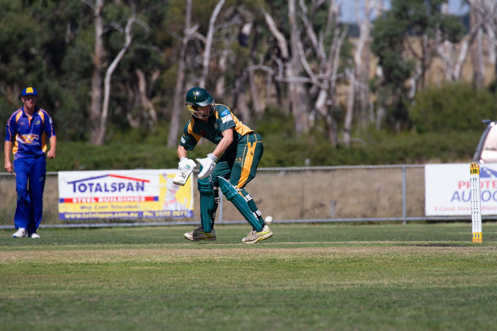 Cricket Div 1 Hallora Vs. Ellinbank - 12.03.2022