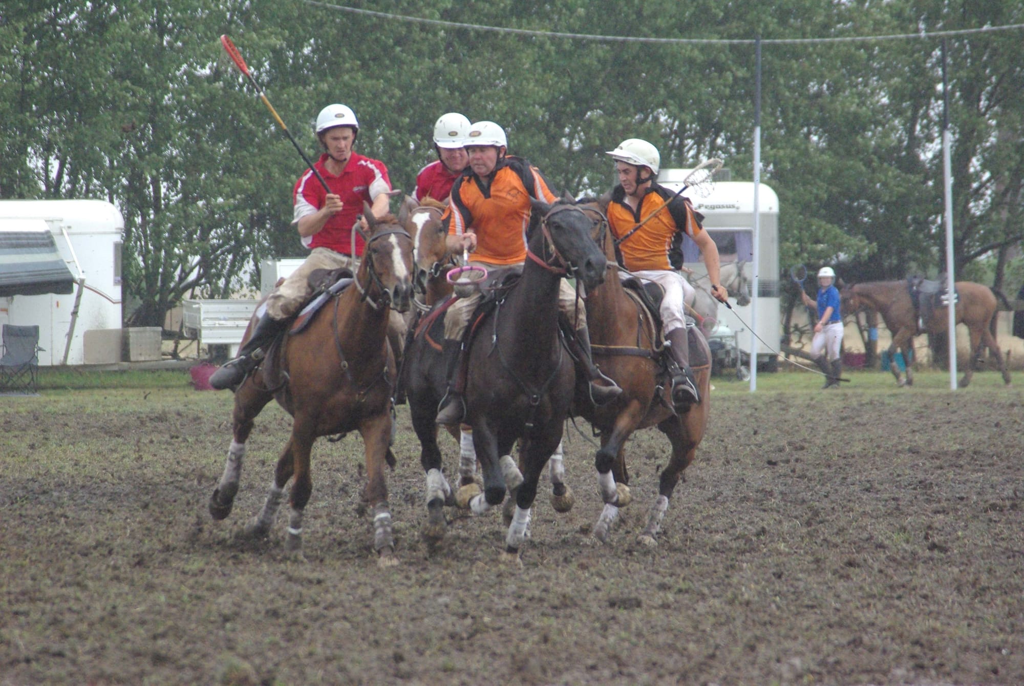 Traf Polox - 15.03.2022