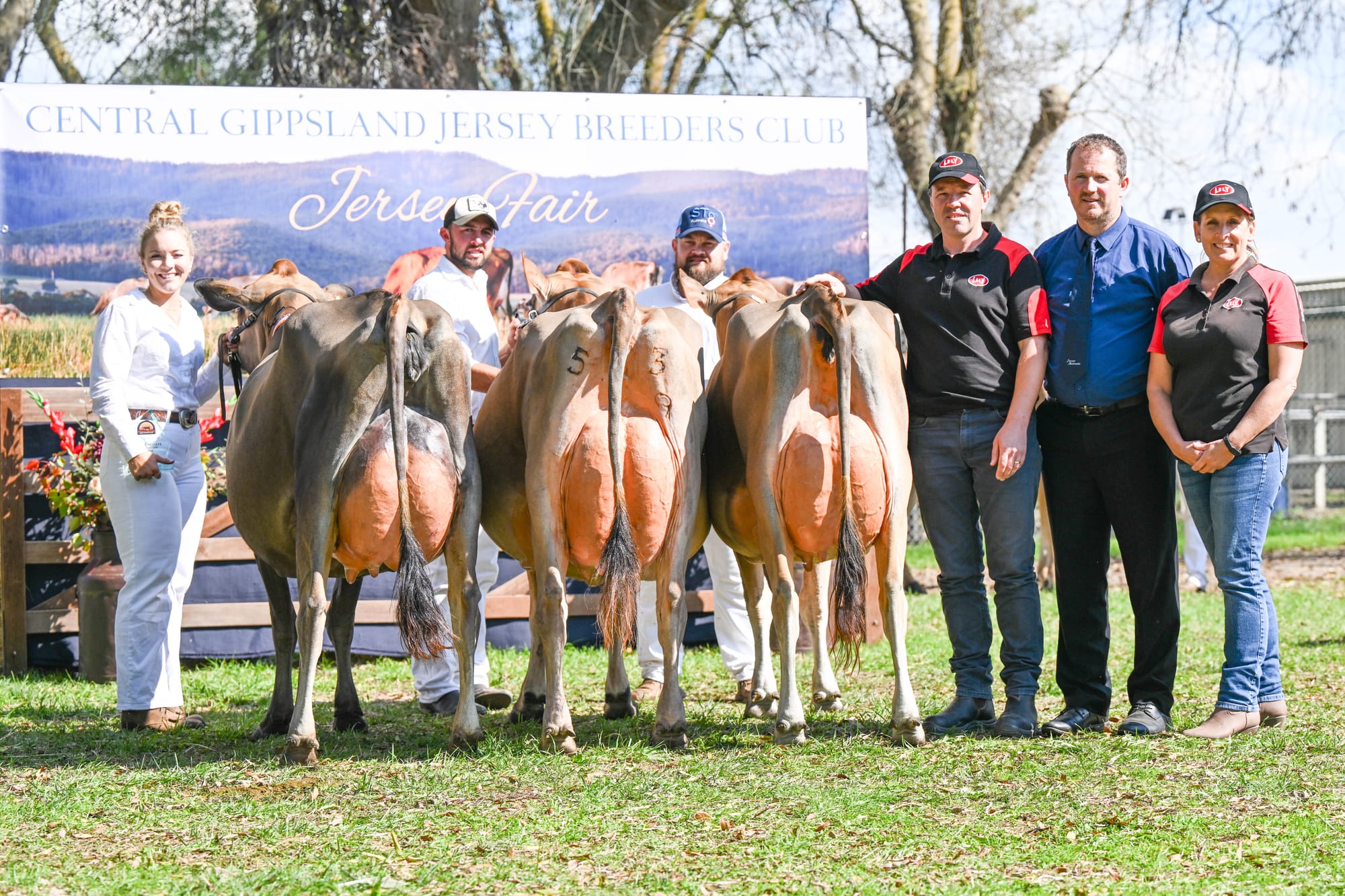 The intermediate champion line-up included (from left) Kaitlyn Wishart leading Brookbora Oliver Sleeping Beauty 3, (owned by the Bacon family), Ben Pedretti leading reserve intermediate champion, Cherrylock Dreaming Of Olives, (owned by Ben Pedretti), Simon Tognola leading honourable mention intermediate champion Brookbora Bashful Sweet Elfa- P (owned by the Bacon family), Glen Monson from Lely, judge Roger Heath and Danielle Auldist  from Lely.