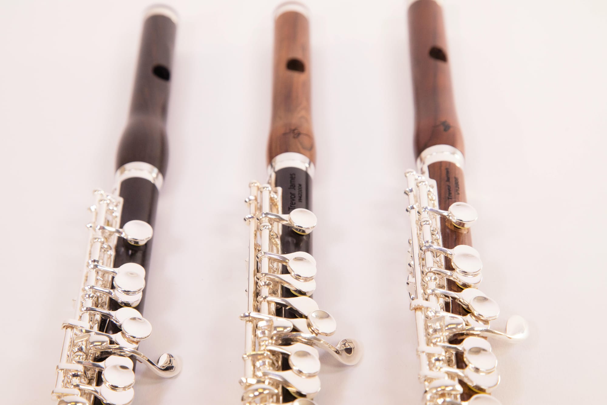 Brass and woodwind workshop