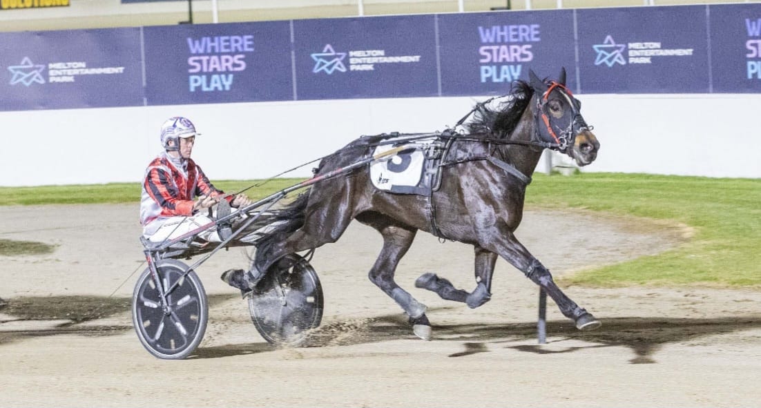 Trafalgar's trotting Gem shines in feature race