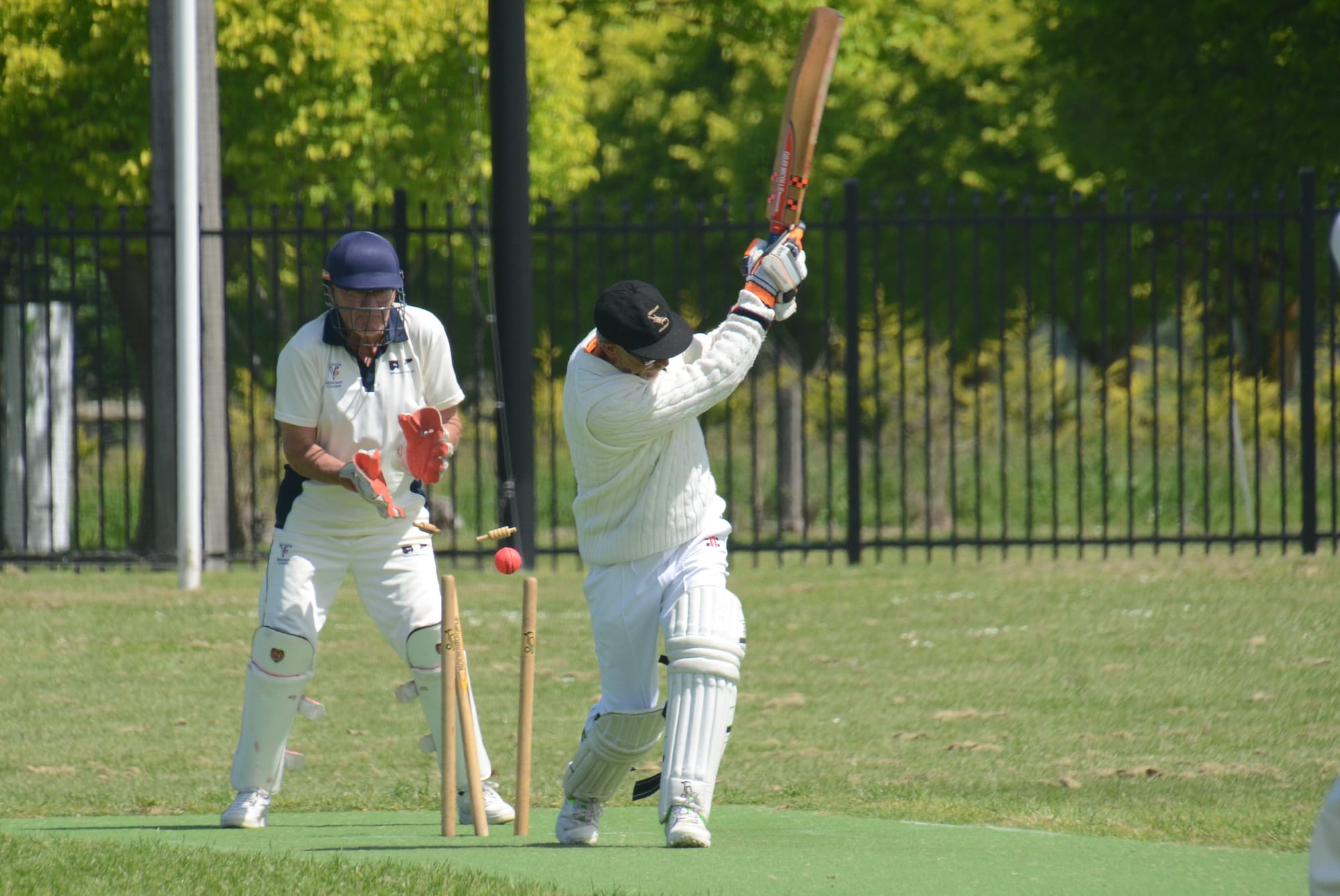 Goannas down Geelong