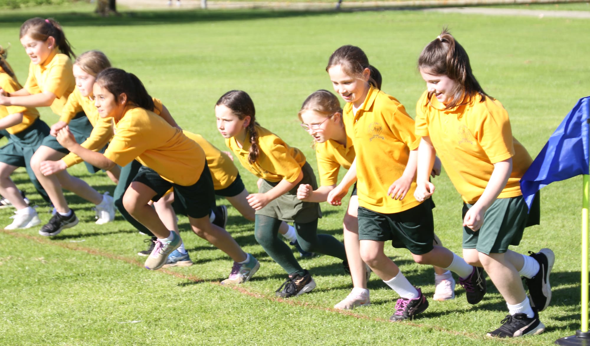 Taking off on the cross country course are (from left) Mia, Holly, Matisse, Alirah, Abby, Kira and Chloe-Lee.