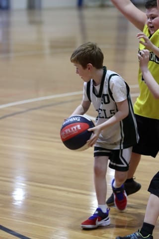 Basketball - 20.08.2021 