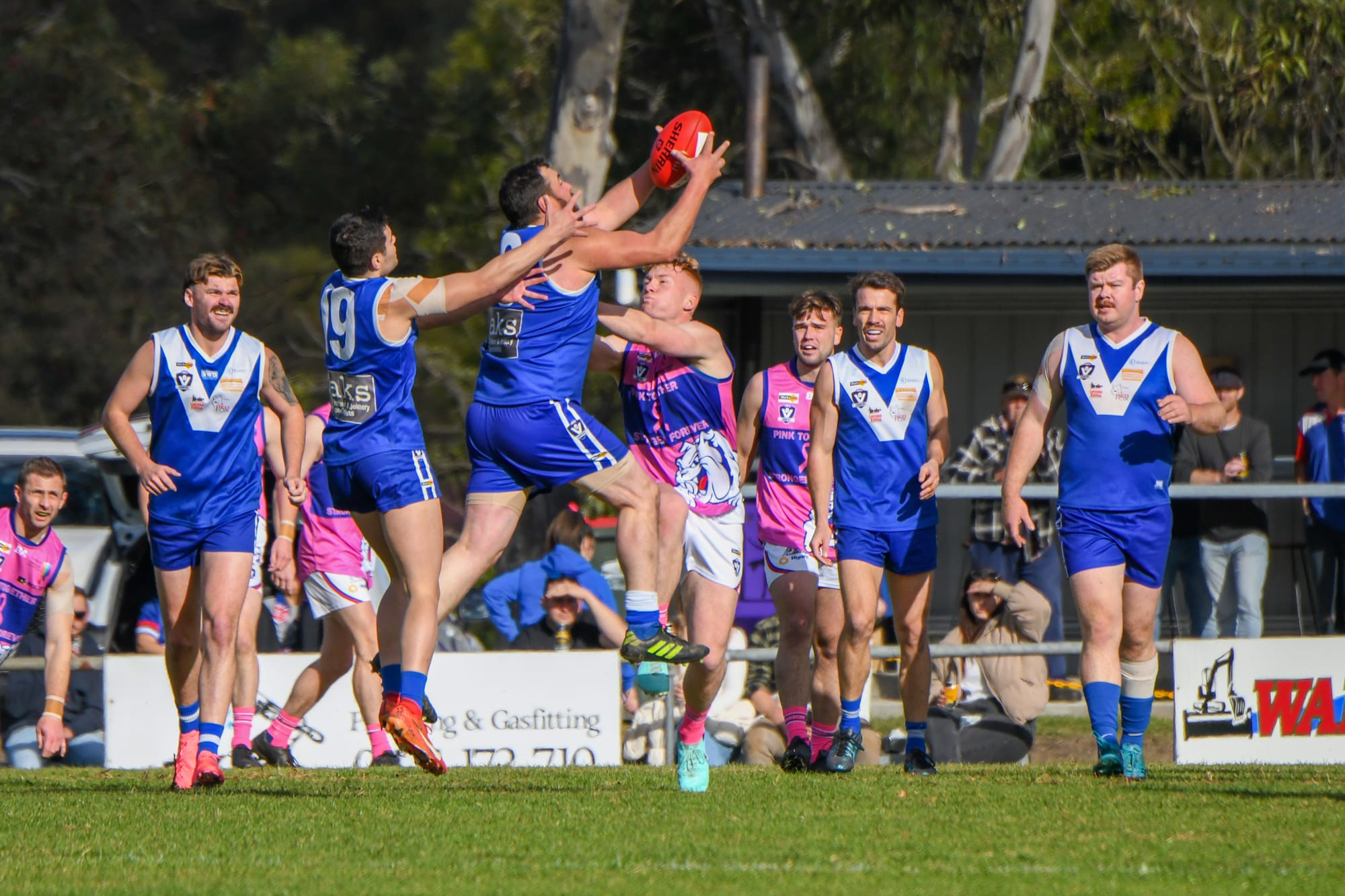 Blues fall short against Bulldogs