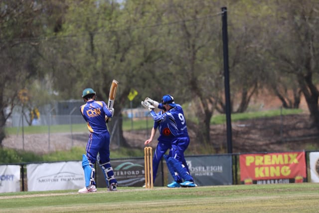 Cricket Div 1 Western Park v Ellinbank - 19112021