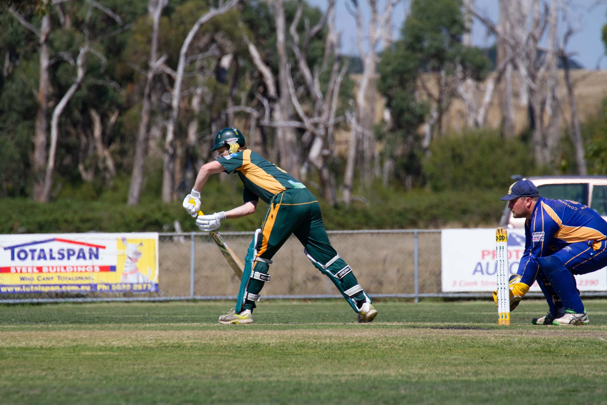 Cricket Div 1 Hallora Vs. Ellinbank - 12.03.2022