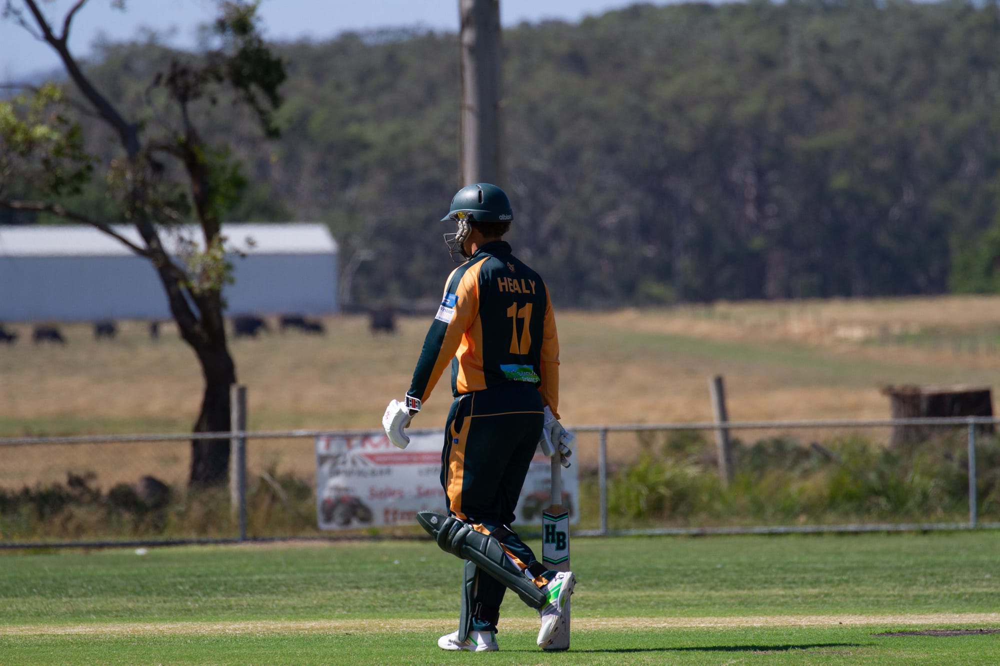 Cricket Div 1 Hallora Vs. Ellinbank - 19.03.2022