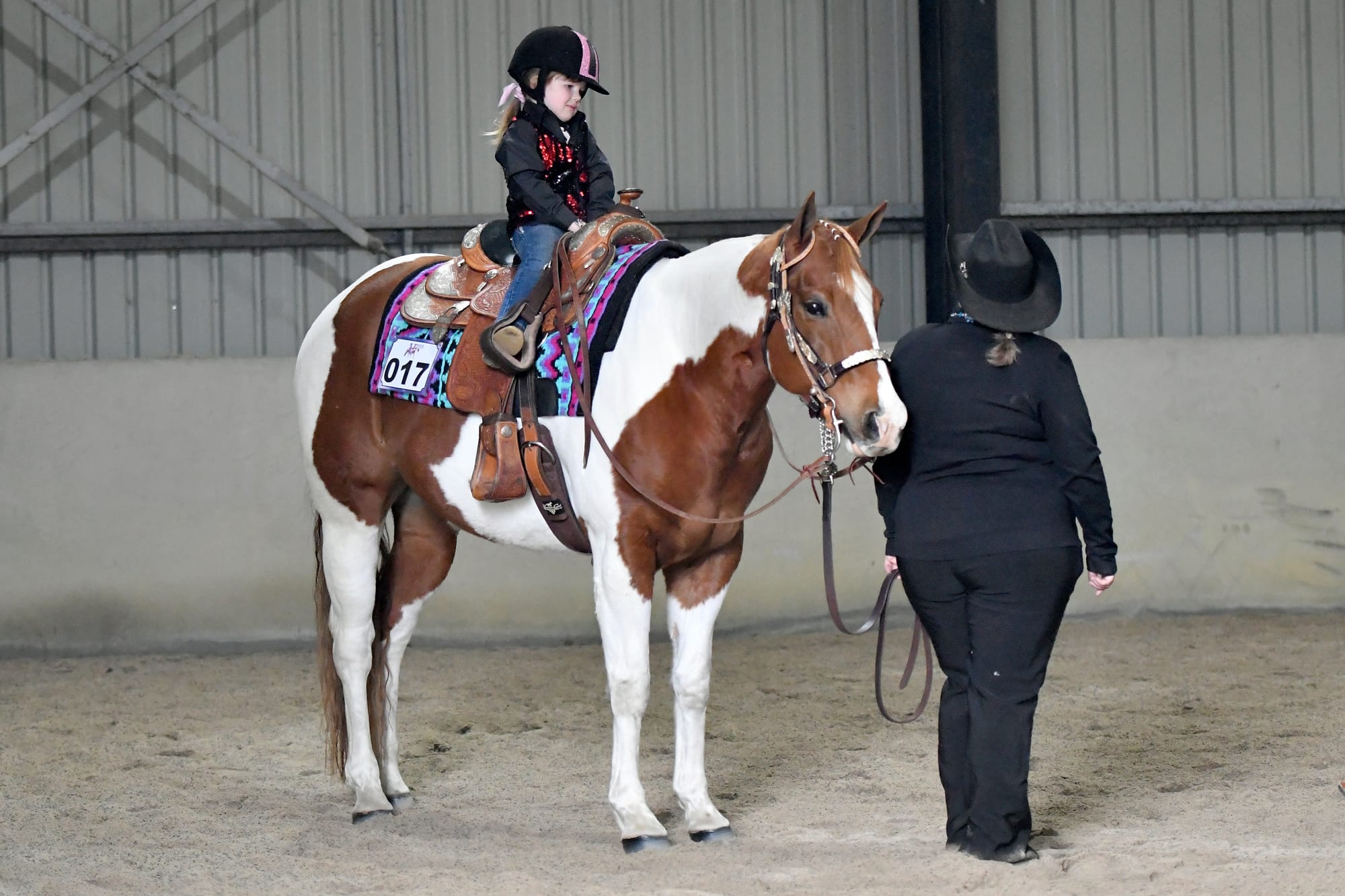Paint horse show delights fans