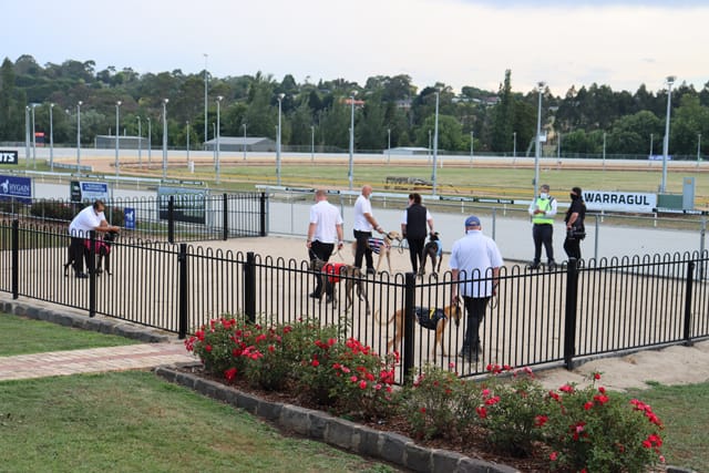 Warragul Cup - 14.01.2022