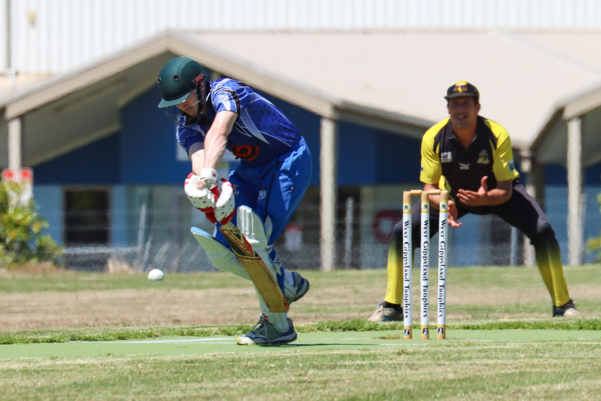 Harper's knock helps Western Park to narrow victory