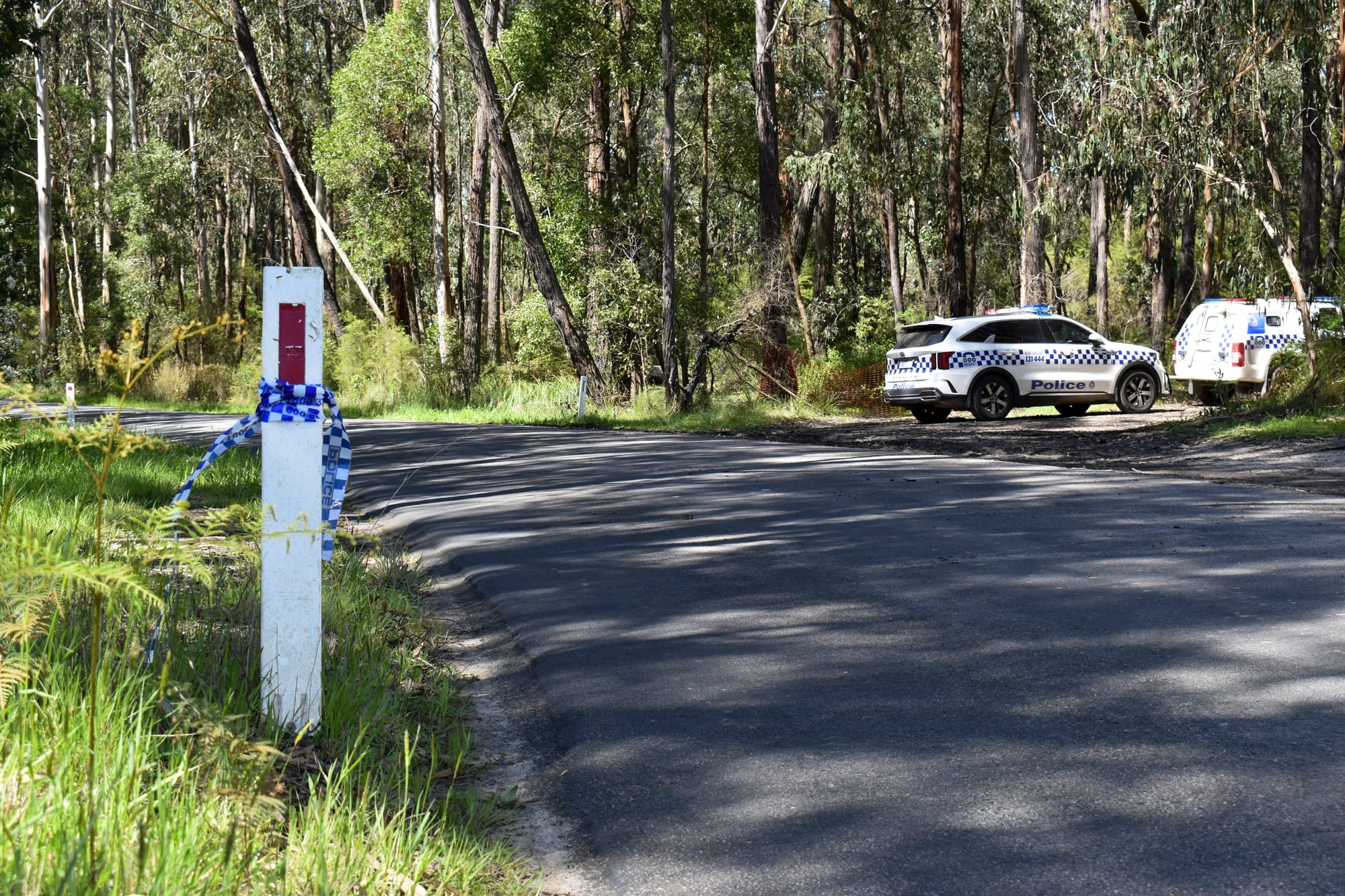 Concerns for missing woman on day four