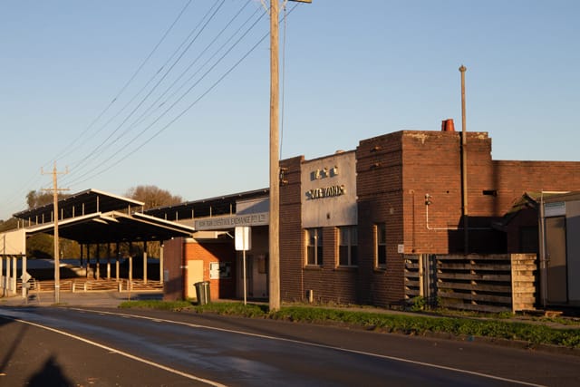 Sale Yards - 06.05.2021 