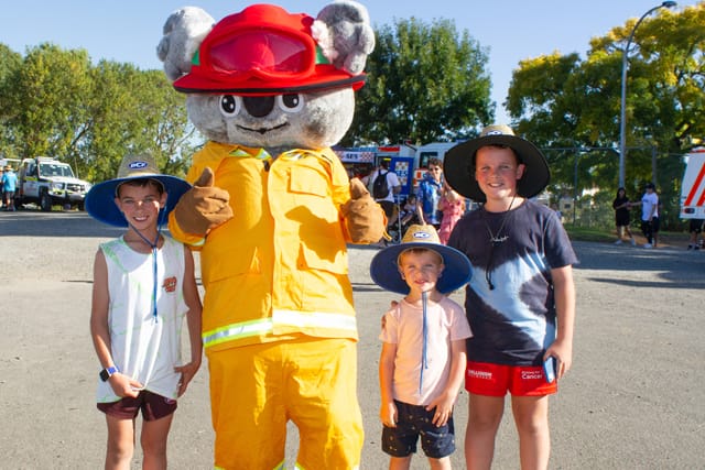 Ficifolia Festival - 19.02.2022