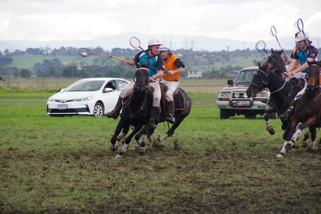 Trafalgar Polox - 2021 