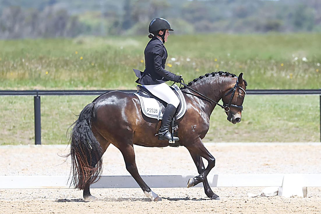 Annual dressage event on Sunday