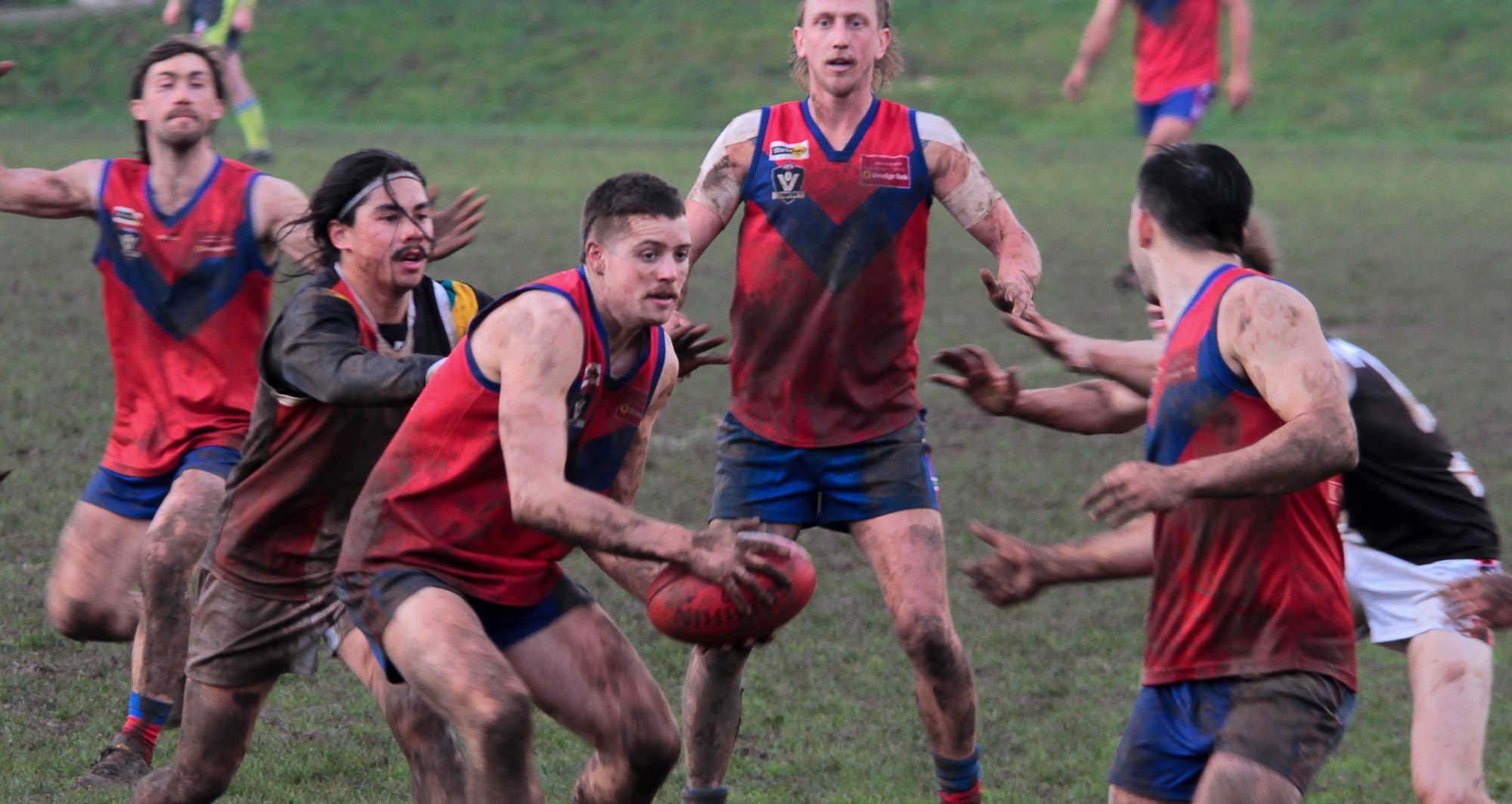 Battle of the birds for a double chance in EDFNL