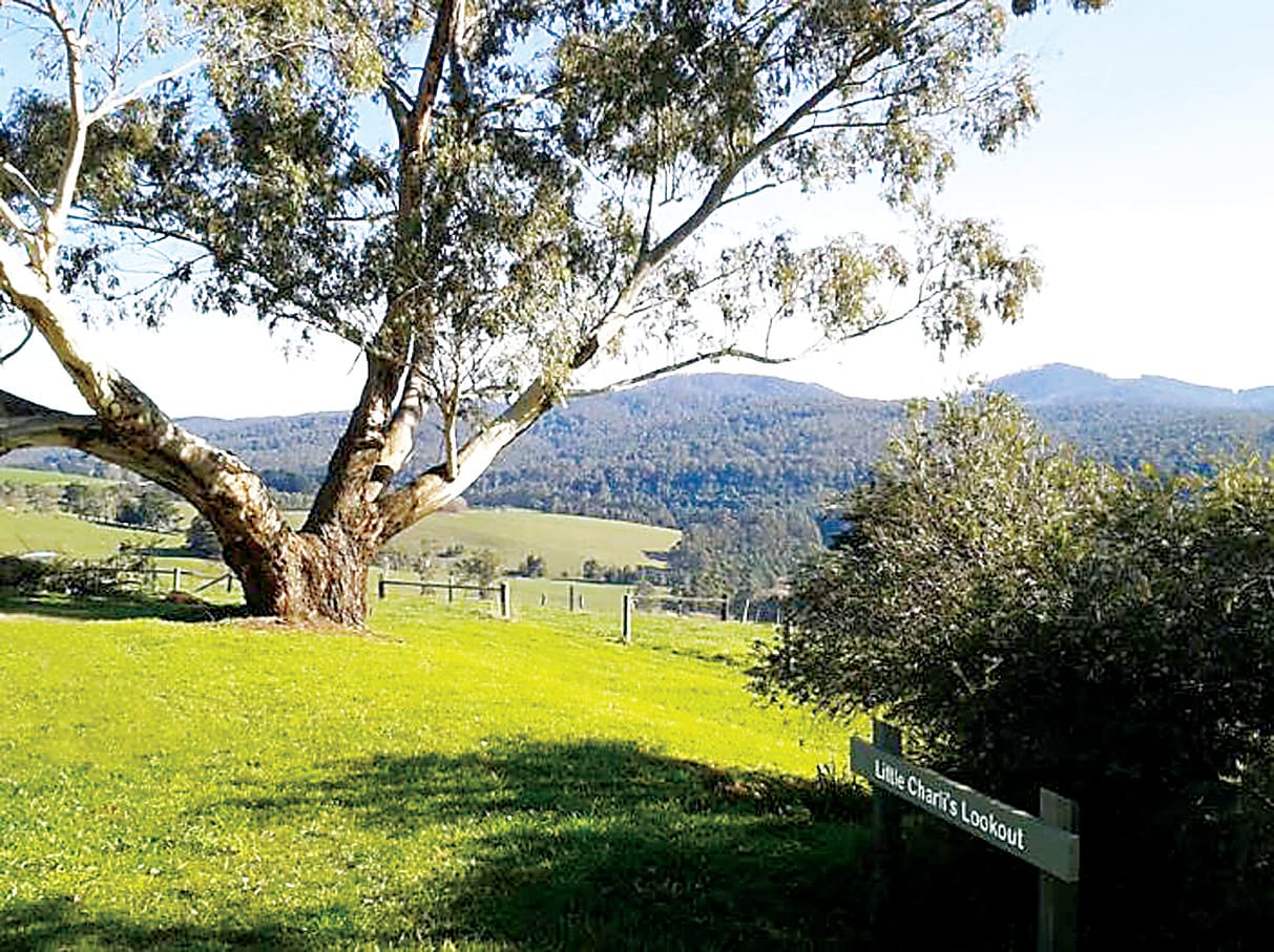 Lookout remains without a name