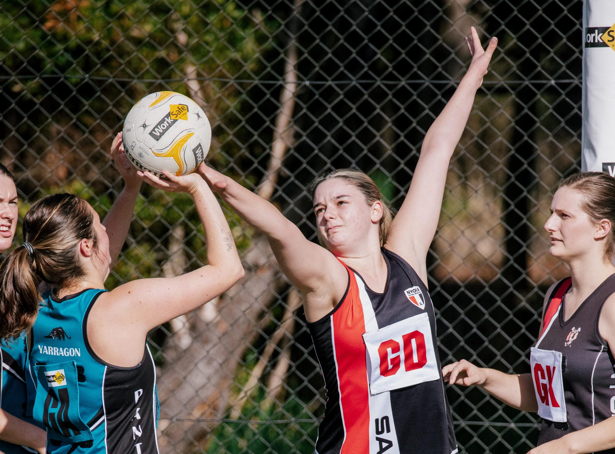 Cats remain undefeated