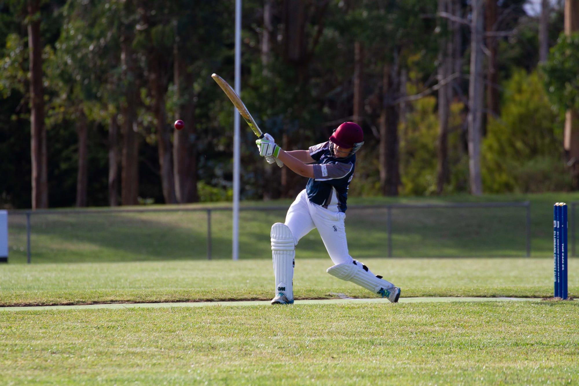 Cricket (U16's) Ellinbank Vs. Neerim District - 12.03.2022