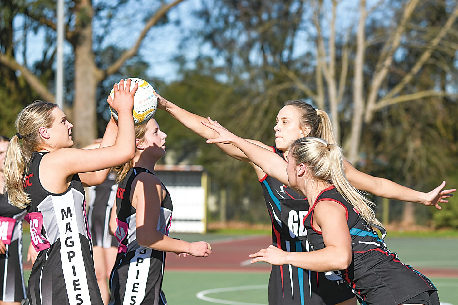 Gulls impress in senior grades over Magpies