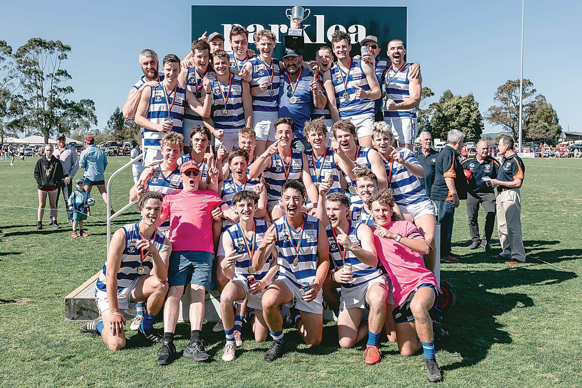 Cats cap off perfect year