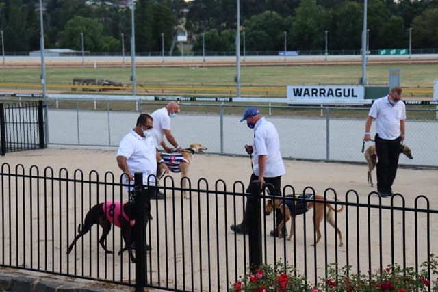 Warragul Cup - 14.01.2022