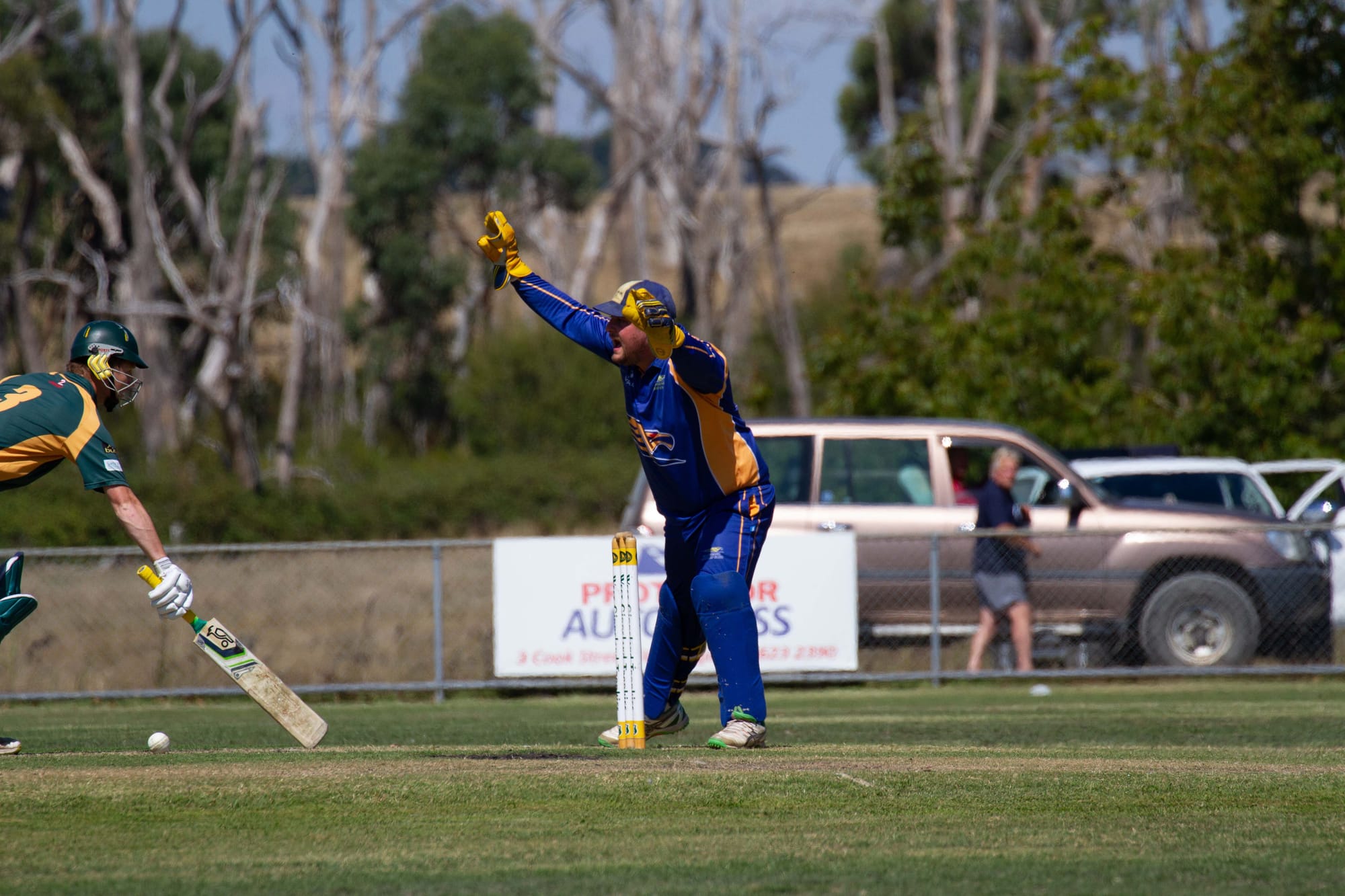 Cricket Div 1 Hallora Vs. Ellinbank - 12.03.2022