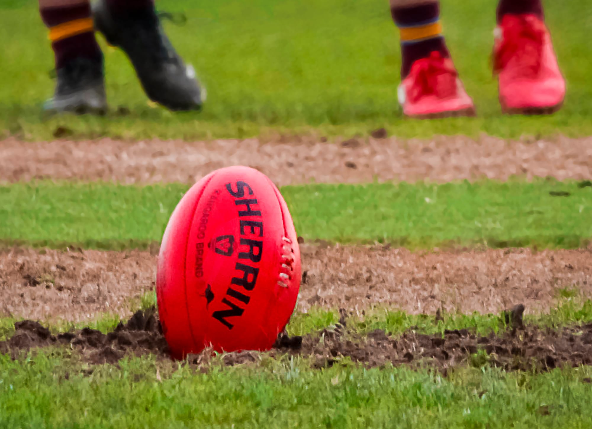 Panthers stay in the hunt for finals