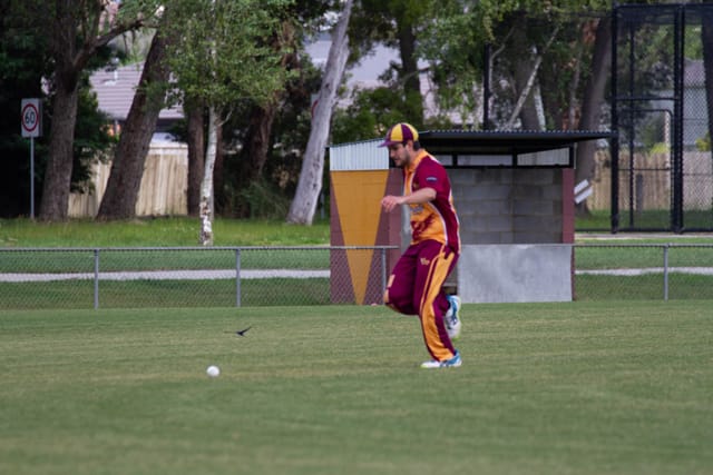 Cricket Div 2 Drouin v Hallora - 27.11.2021