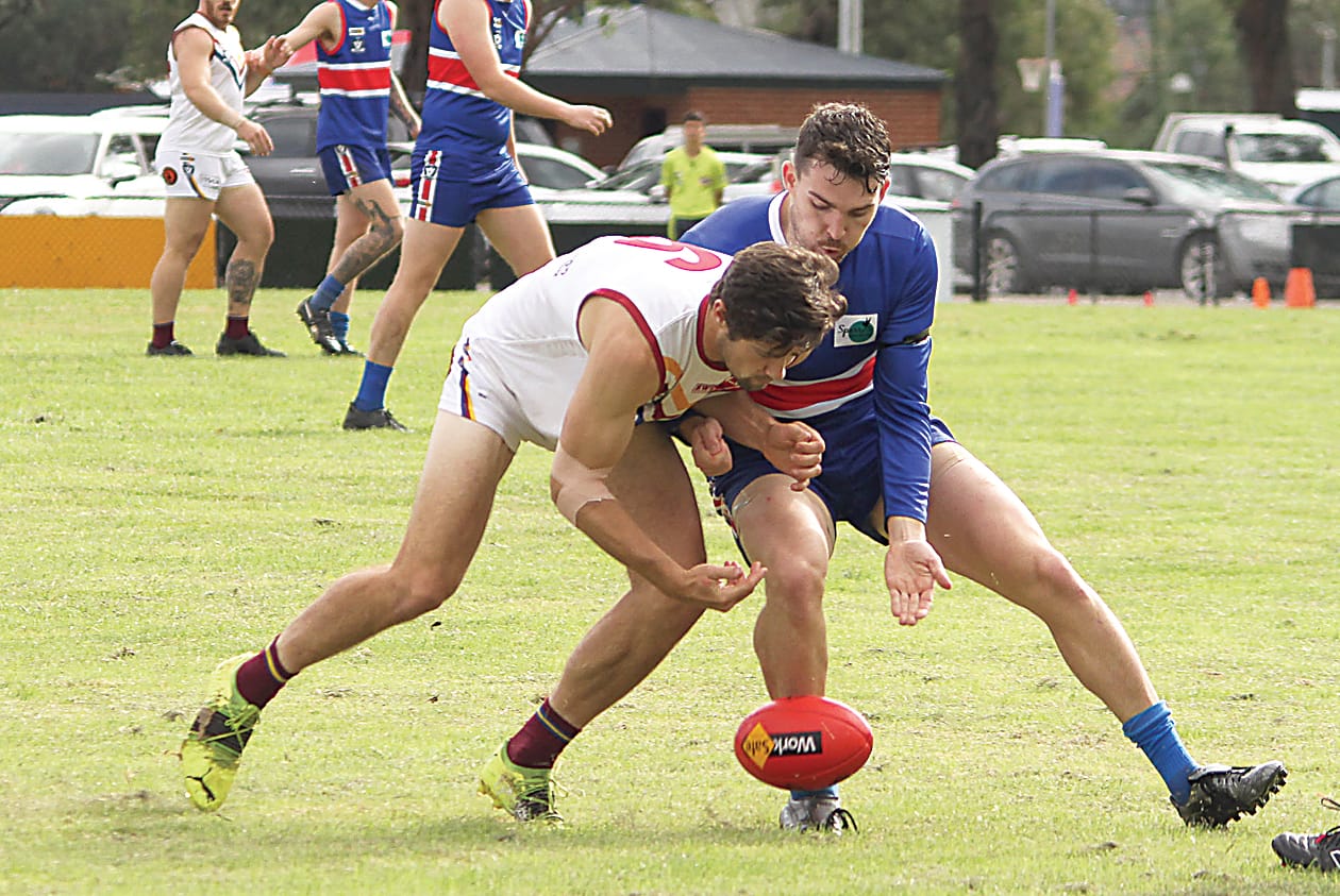 McGarrity masterclass in Dusties win