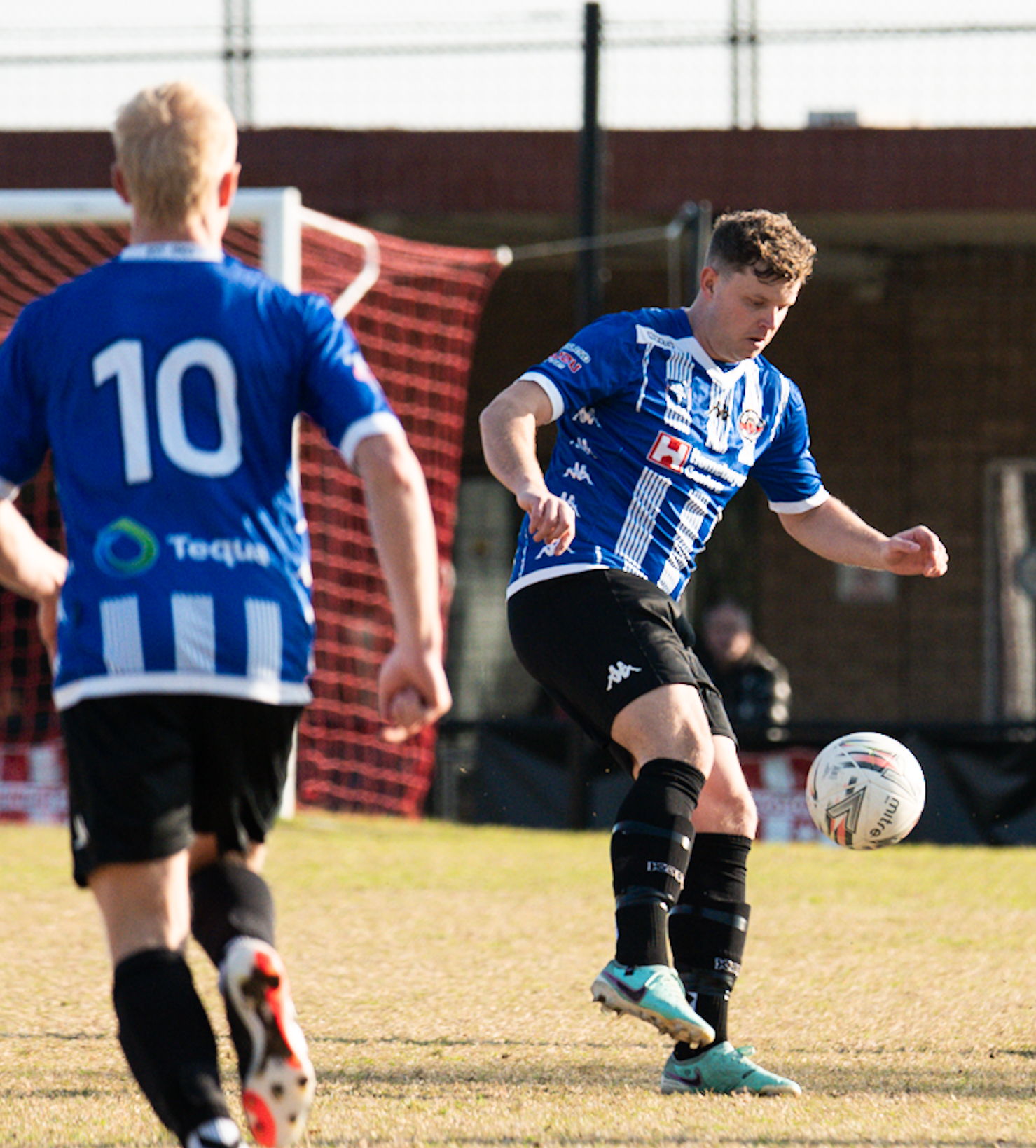United seniors beaten by Banyule