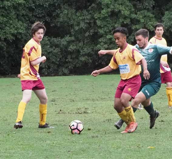 Dragons take on Strikers