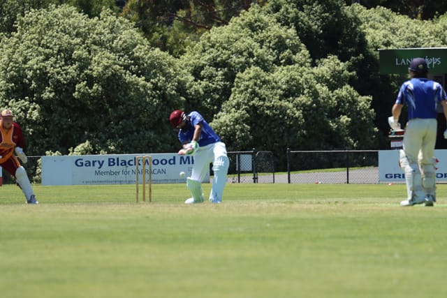 Cricket Div 4 Western Park Vs. Drouin - 05.02.2022