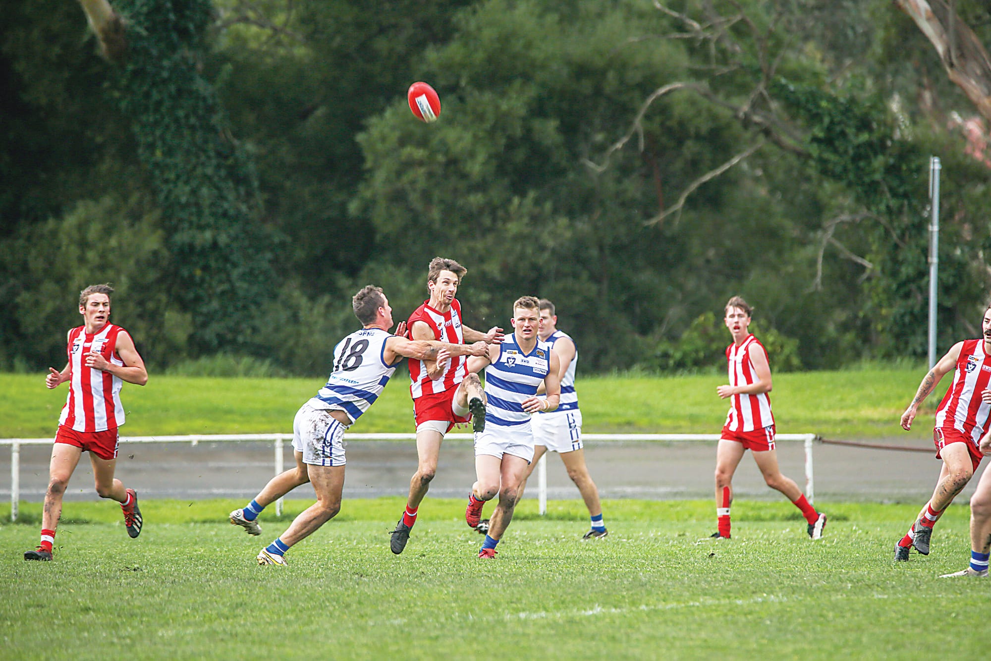 Close result expected as Bloods face Eagles